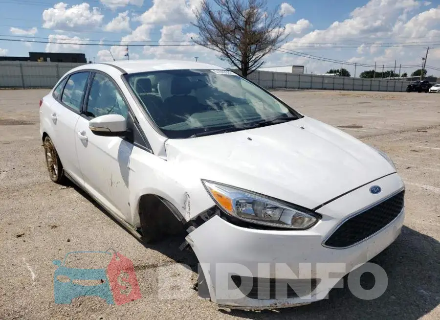 1FADP3F20GL399448 Photo# 1
