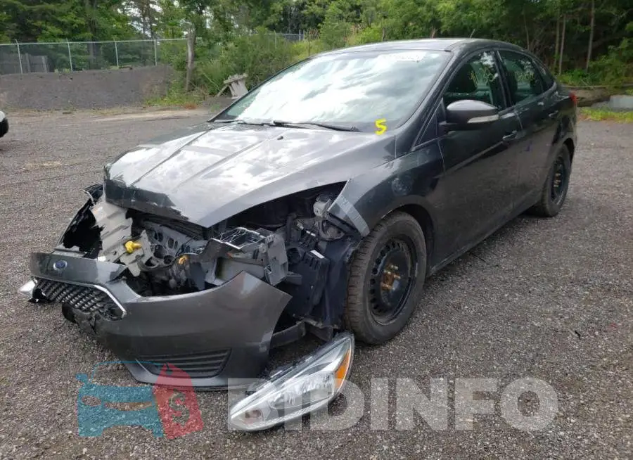 1FADP3F2XHL265841 Photo# 2