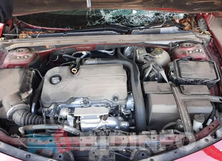 1G1ZD5ST5JF185167 Photo# 7