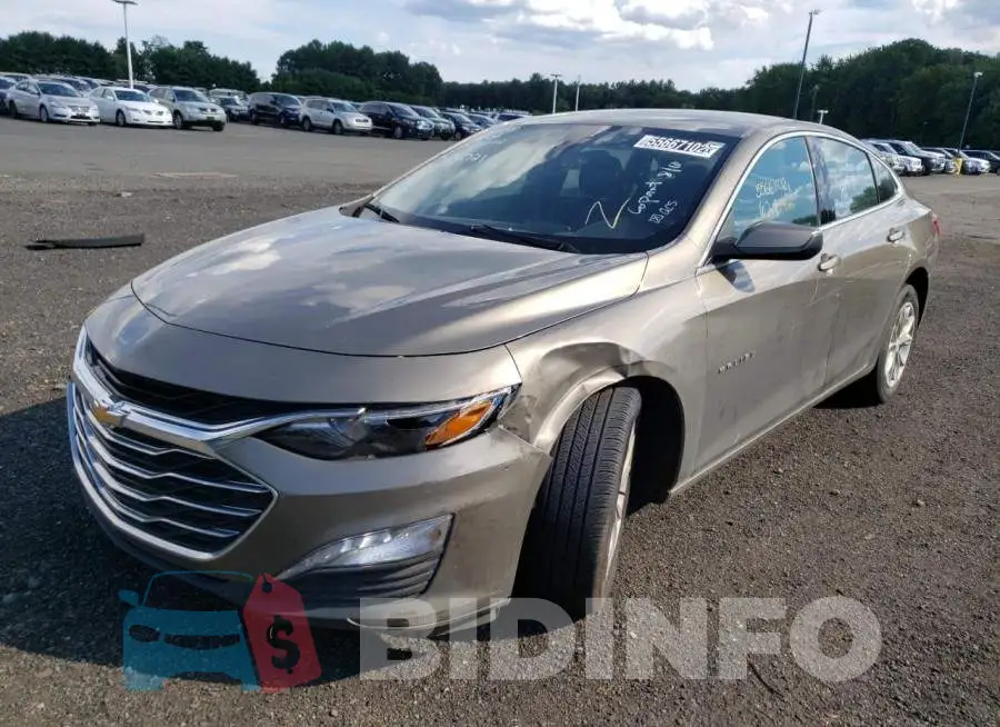 1G1ZD5ST7LF094887 Photo# 2