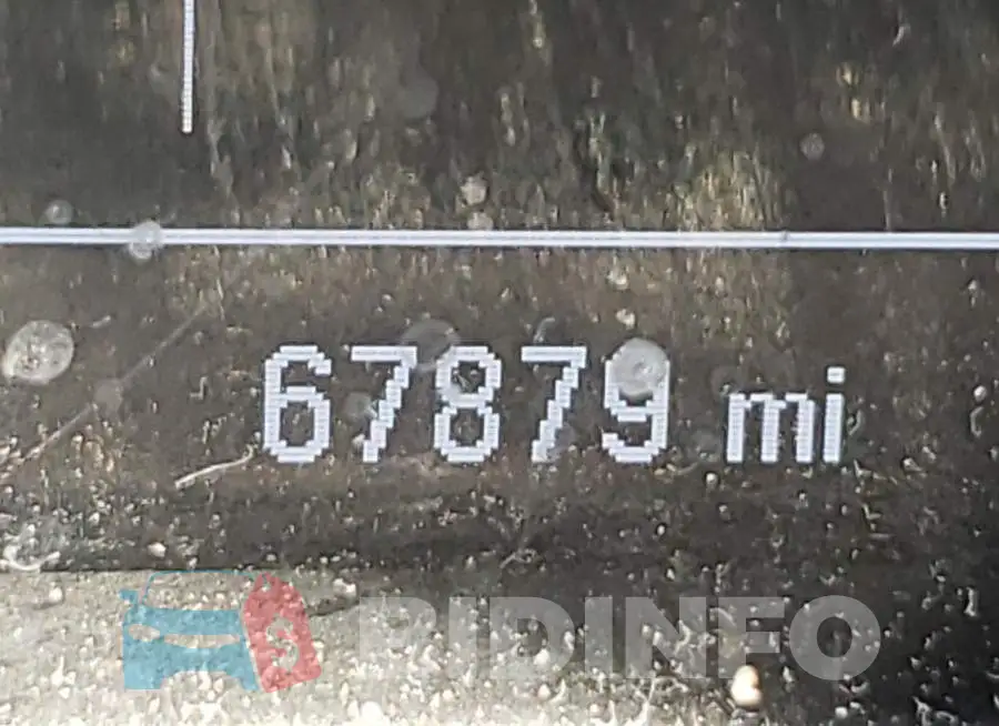 1G1ZD5ST7LF094887 Photo# 8