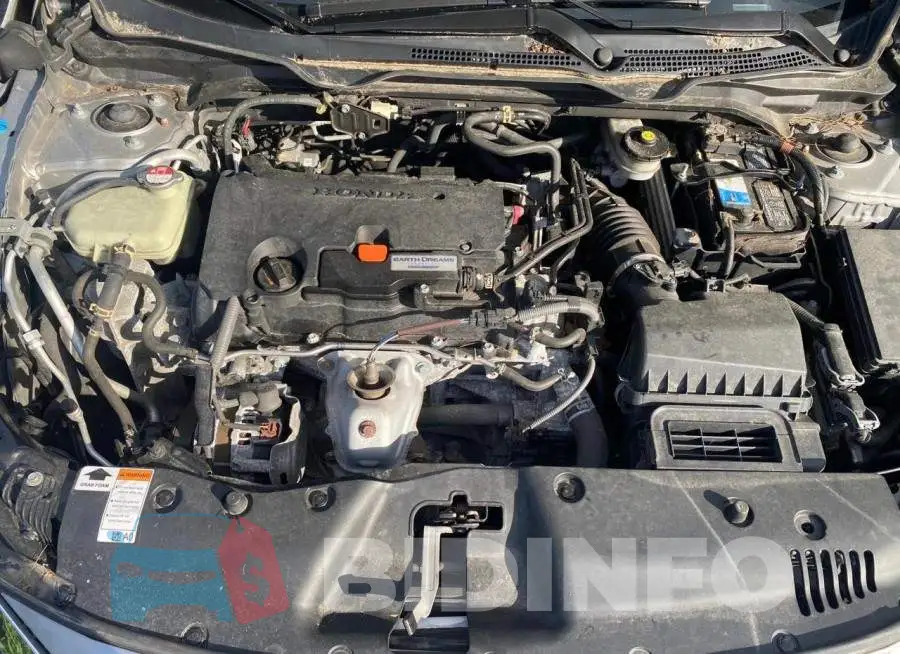 19XFC2F8XGE248560 Photo# 7