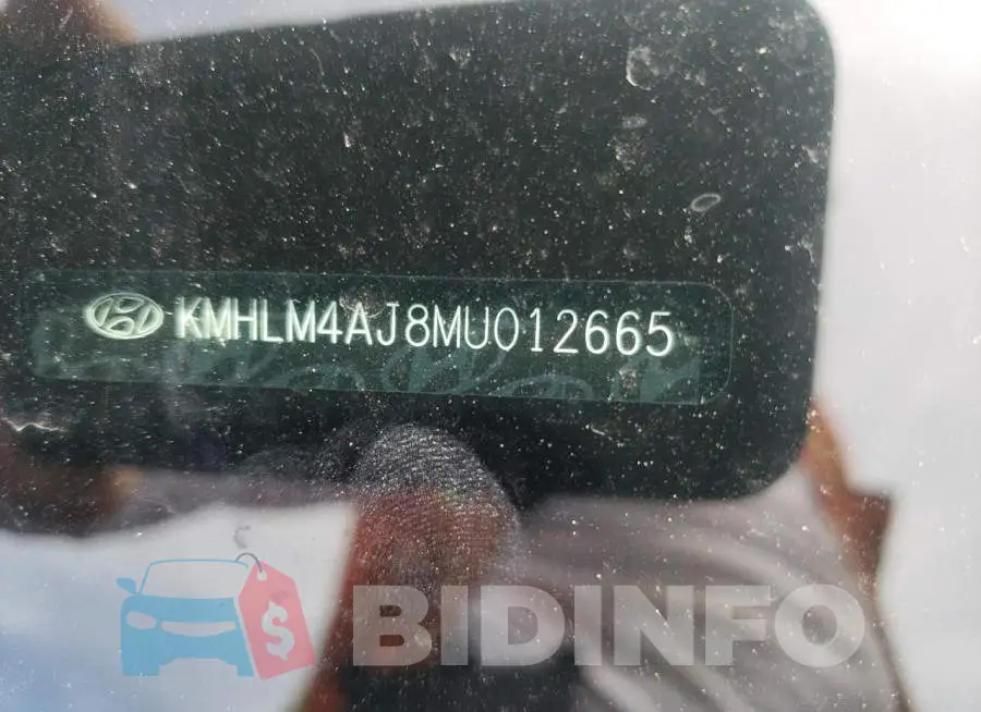KMHLM4AJ8MU012665 Photo# 10