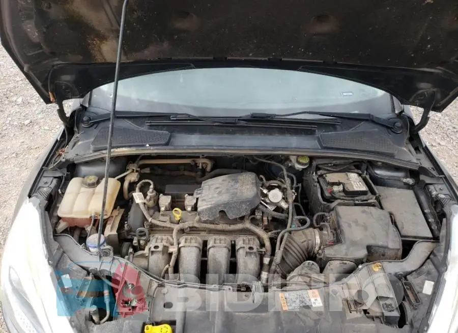 1FADP3F23GL360384 Photo# 7