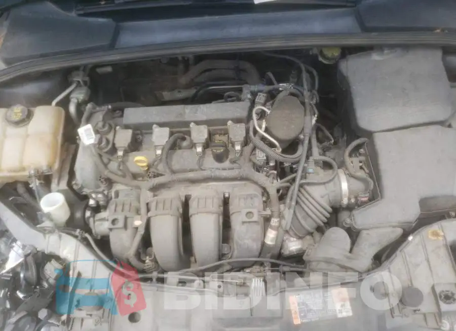 1FADP3F27GL296530 Photo# 7