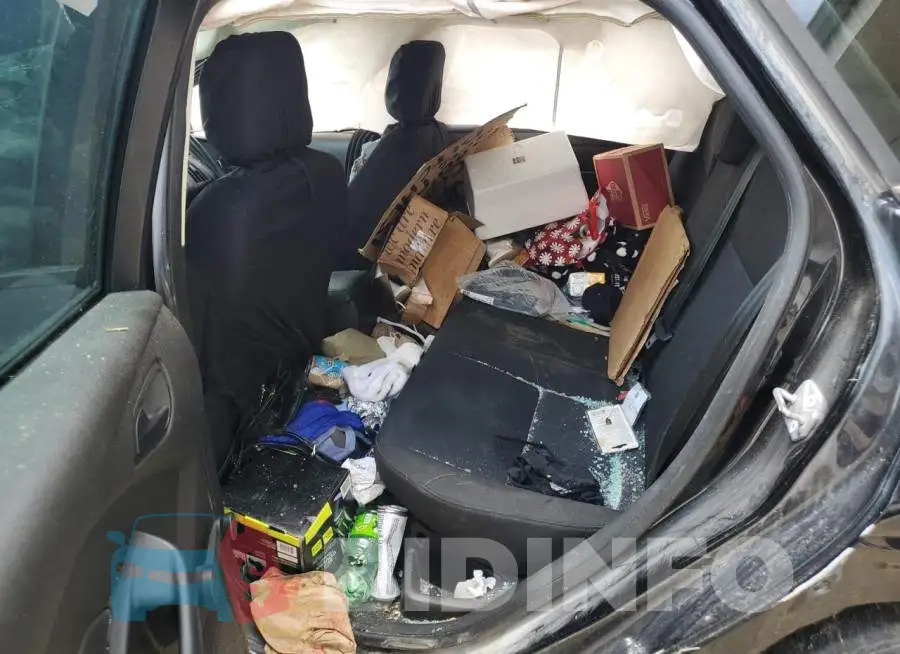 1FADP3E28GL236659 Photo# 6