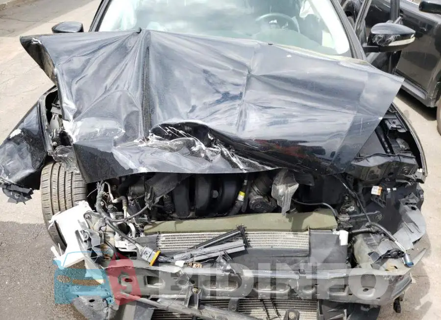 1FADP3F21GL300491 Photo# 7