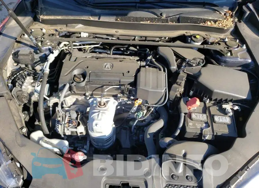 19UUB1F31LA006456 Photo# 7