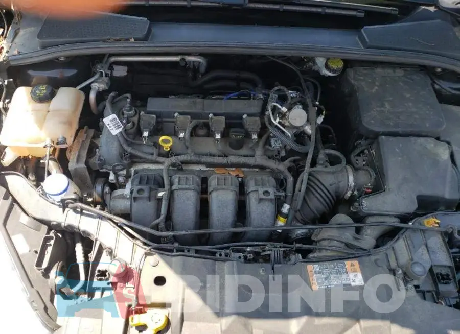 1FADP3E29GL335653 Photo# 7