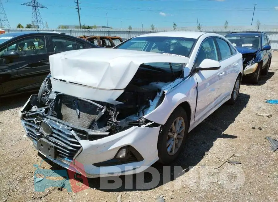 5NPE24AF6KH737901 Photo# 2