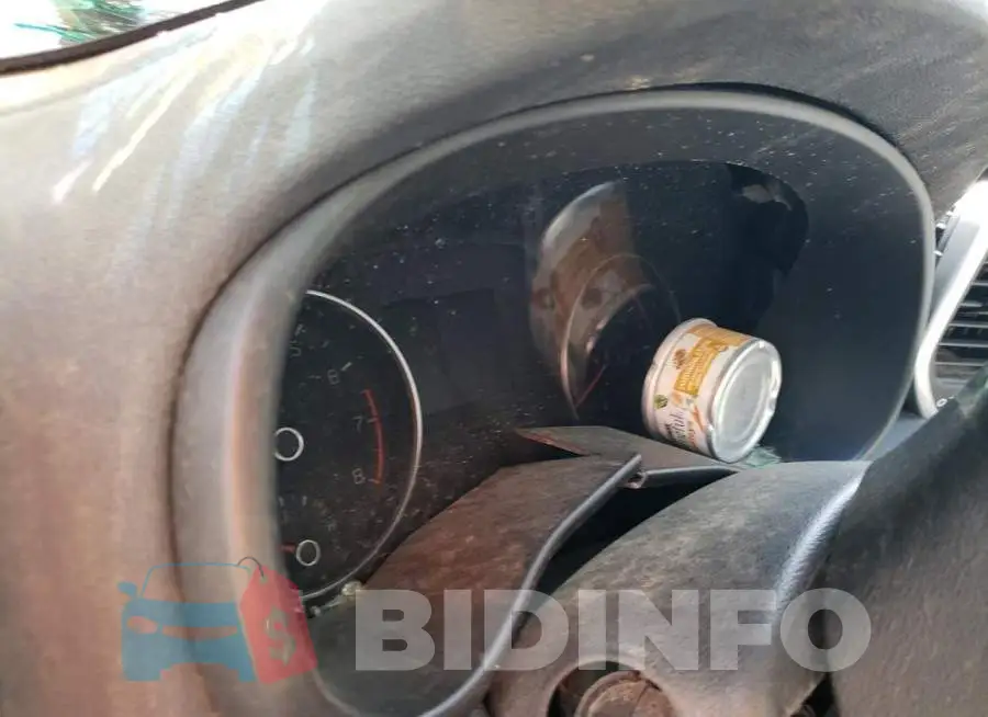 KNDPM3AC5M7938487 Photo# 8