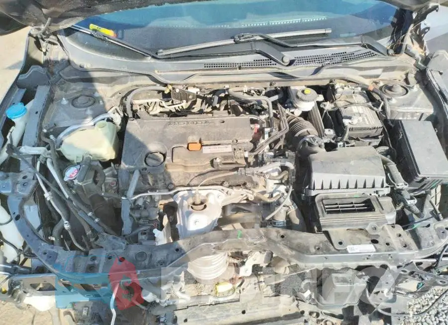 19XFC2F79HE030036 Photo# 7