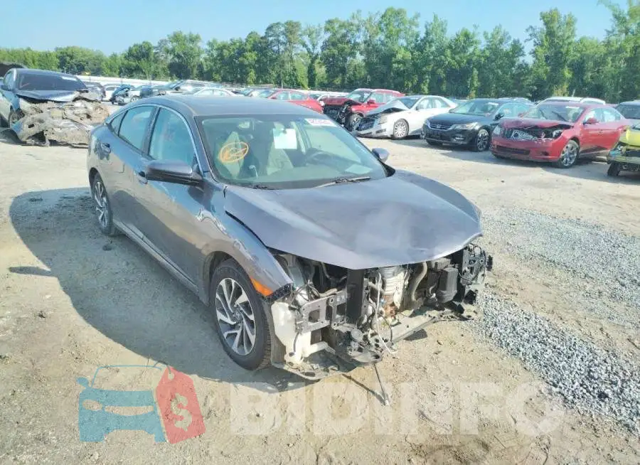 19XFC2F79HE030036 Photo# 1