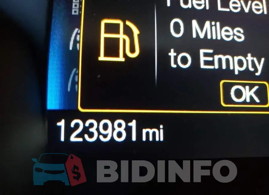 1FADP3E23GL224645 Photo# 8