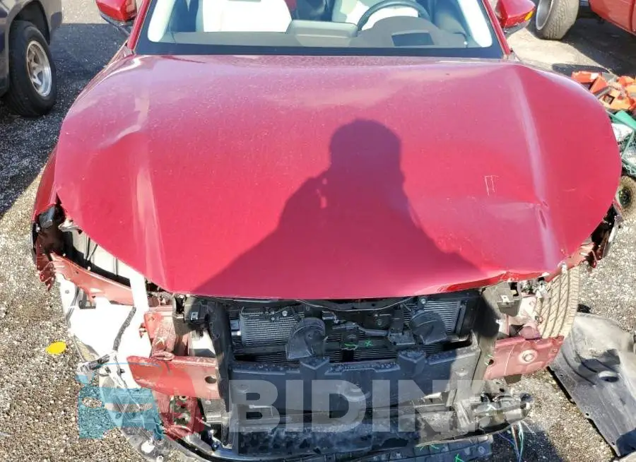 3MVDMBDL3MM317584 Photo# 7
