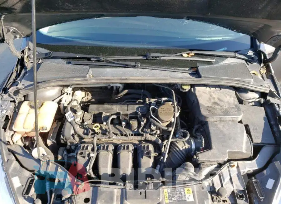 1FADP3F26GL204484 Photo# 7