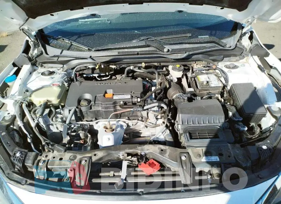 19XFC2F71GE237549 Photo# 7