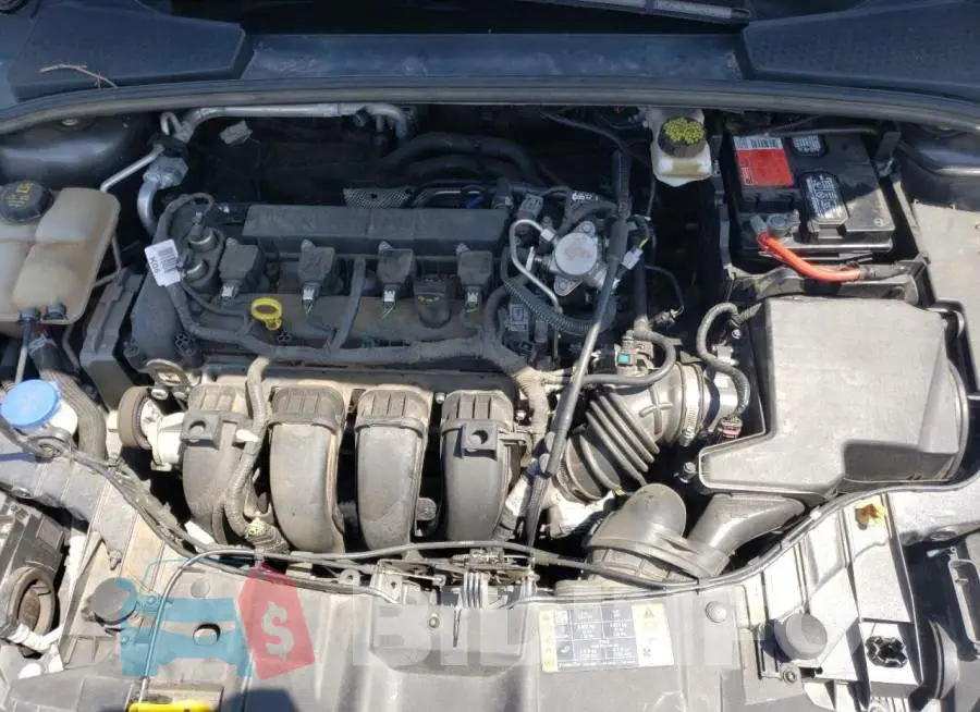 1FADP3E27JL299131 Photo# 7