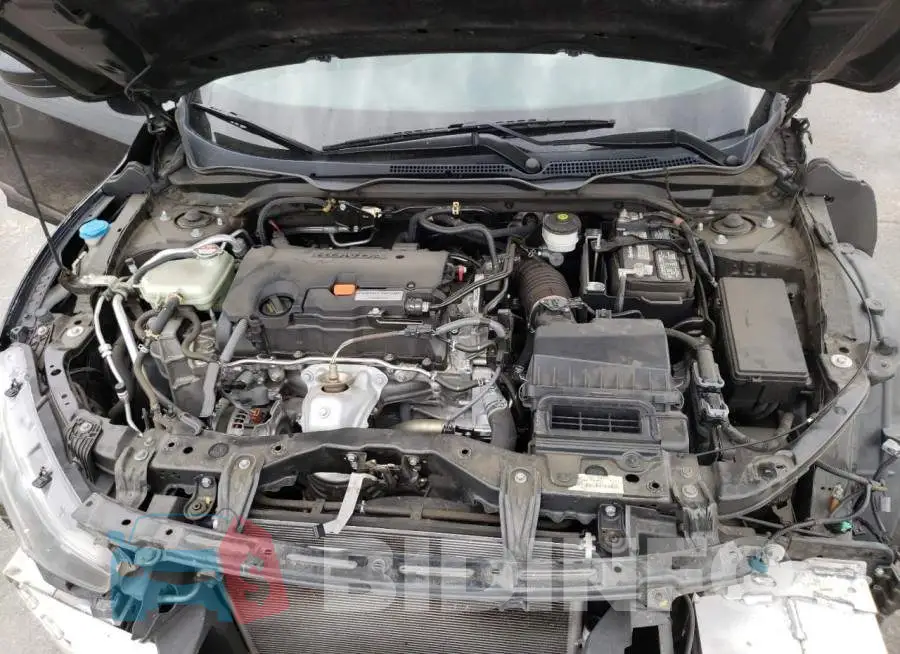 2HGFC2F56HH560162 Photo# 7