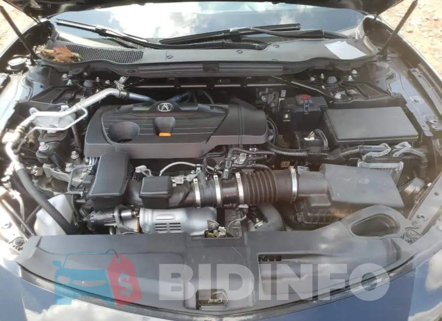 19UUB6F66MA004081 Photo# 7
