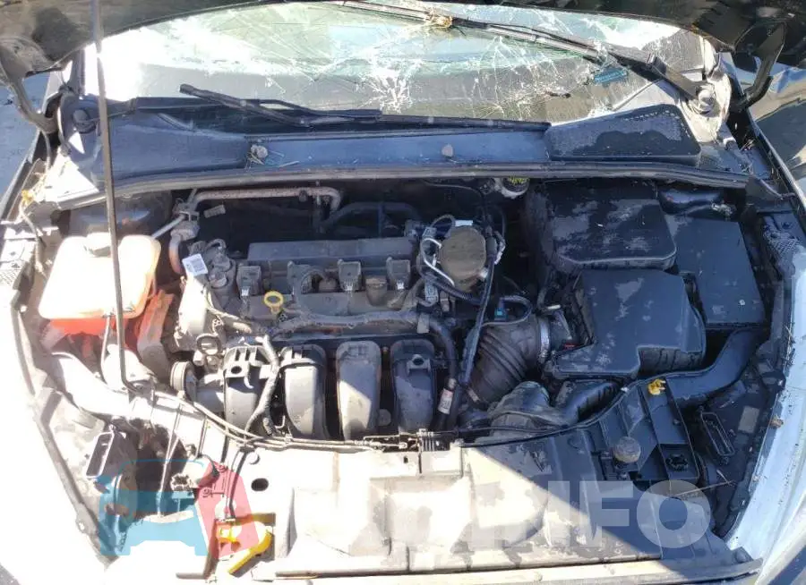 1FADP3F24GL268815 Photo# 7