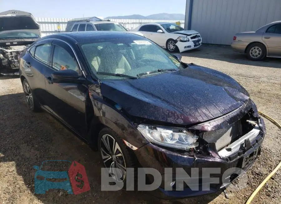 19XFC1F38GE204328 Photo# 1