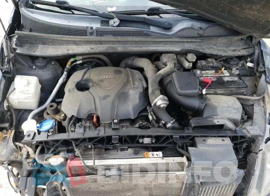 KNDPC3A68G7817065 Photo# 7