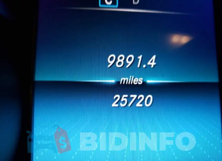 WDDWF8DB5LR540291 Photo# 8