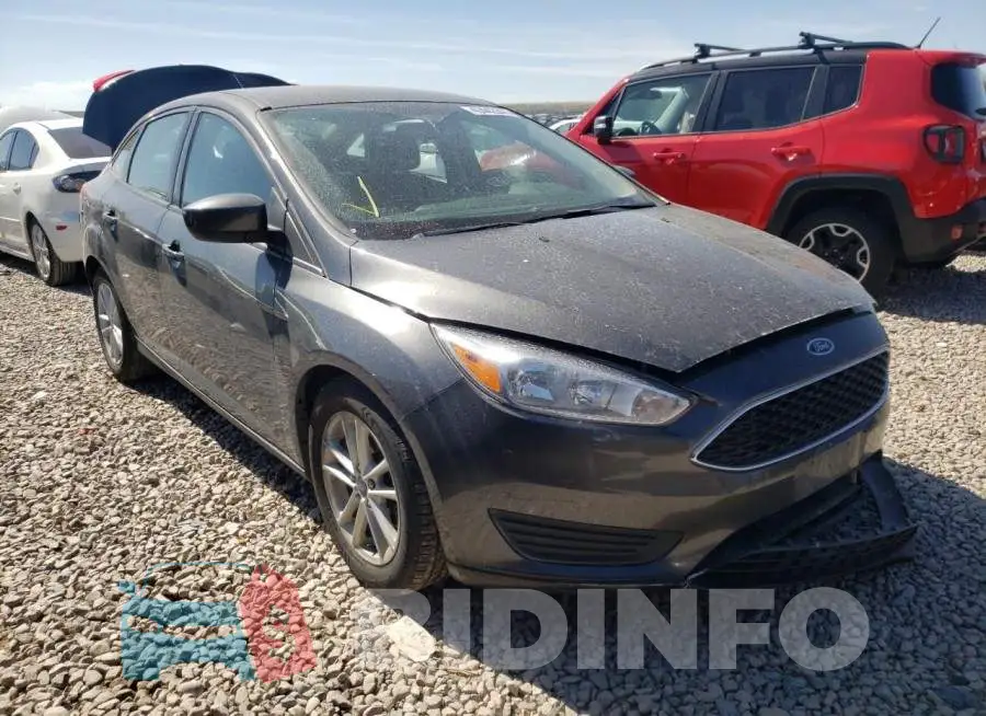 1FADP3F24JL211263 Photo# 1