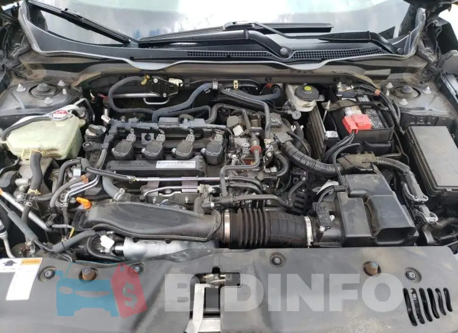 19XFC1F9XGE010761 Photo# 7