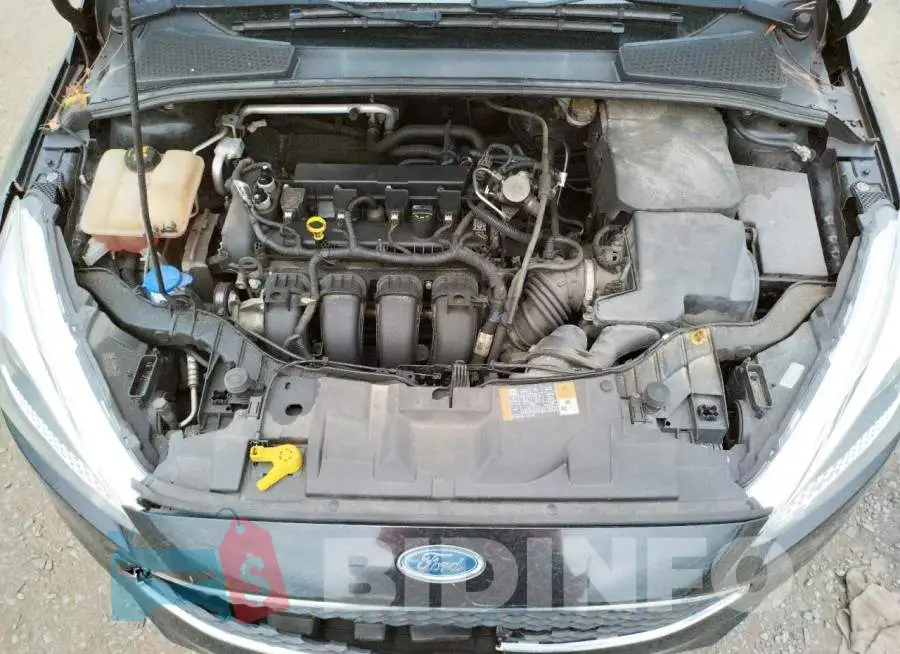 1FADP3E24GL393816 Photo# 7