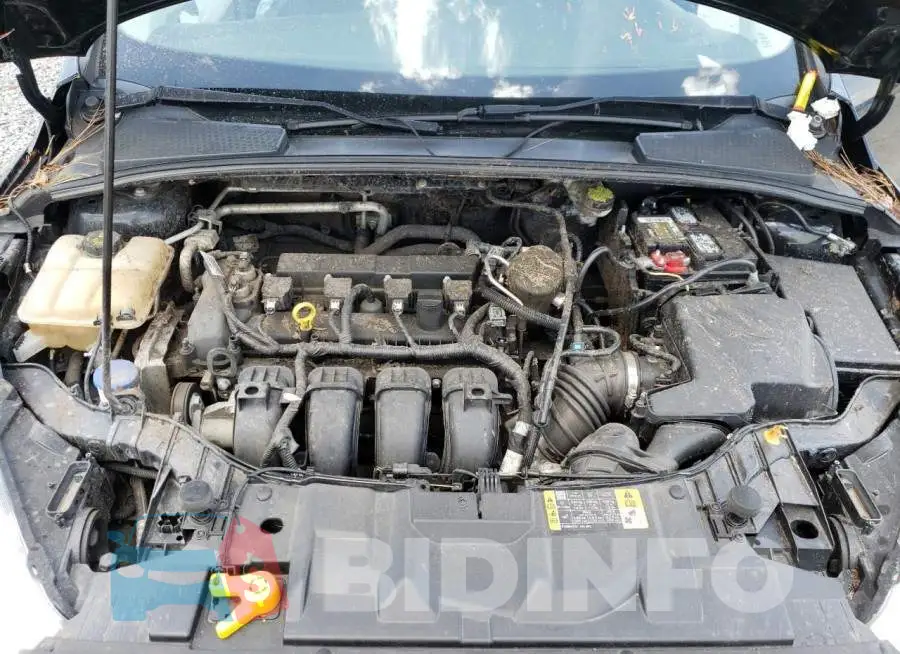 1FADP3F26GL232625 Photo# 7
