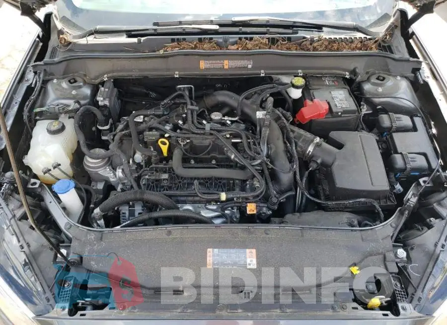 3FA6P0HD3LR255216 Photo# 7