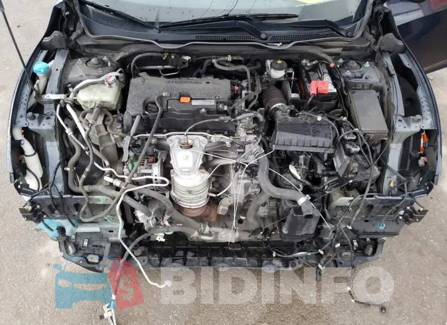 19XFC2F71HE082504 Photo# 7