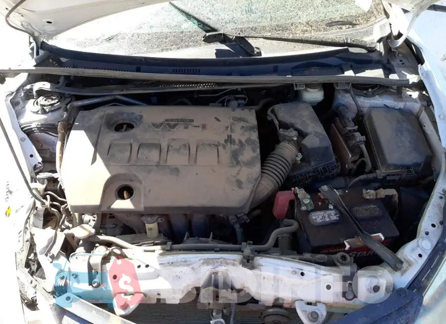 5YFBURHEXGP516030 Photo# 7