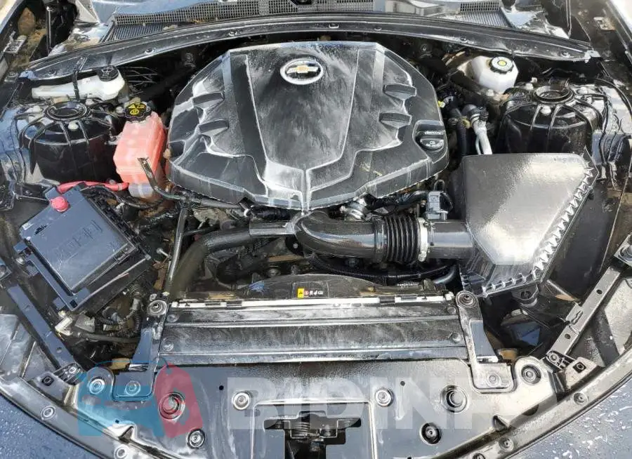 1G1FB1RS4K0158724 Photo# 7