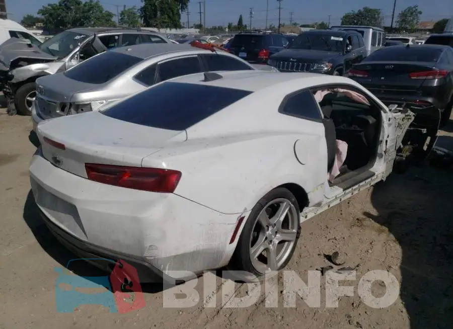 1G1FB1RS7H0181584 Photo# 4