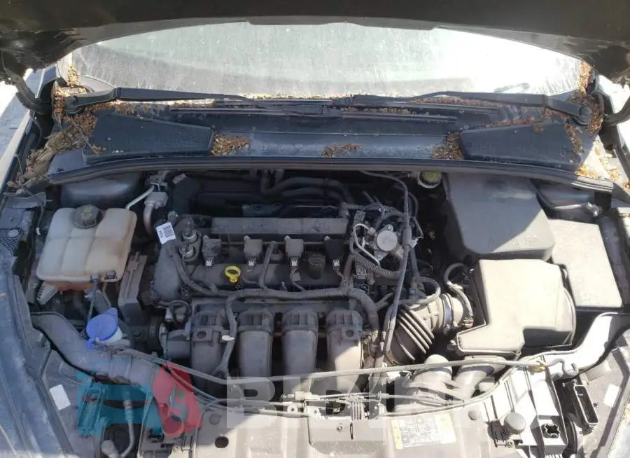 1FADP3F22GL374177 Photo# 7