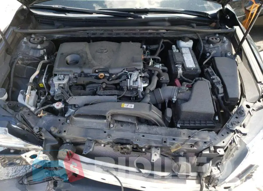 4T1C11AK0LU356876 Photo# 7