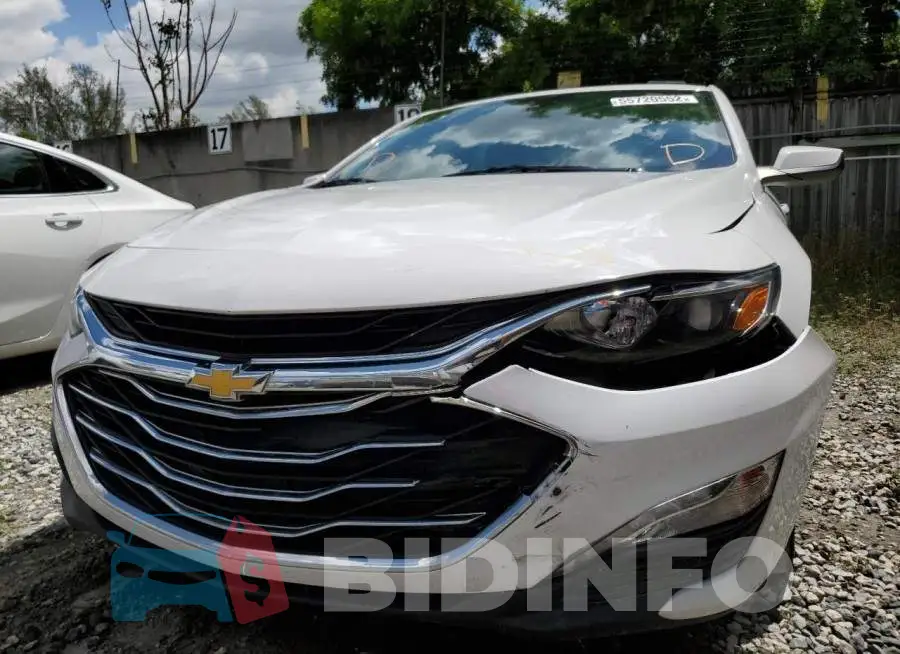 1G1ZD5ST1LF110775 Photo# 10