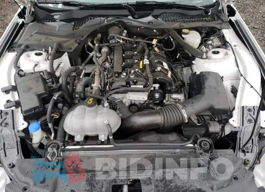 1FATP8UH1M5125191 Photo# 7