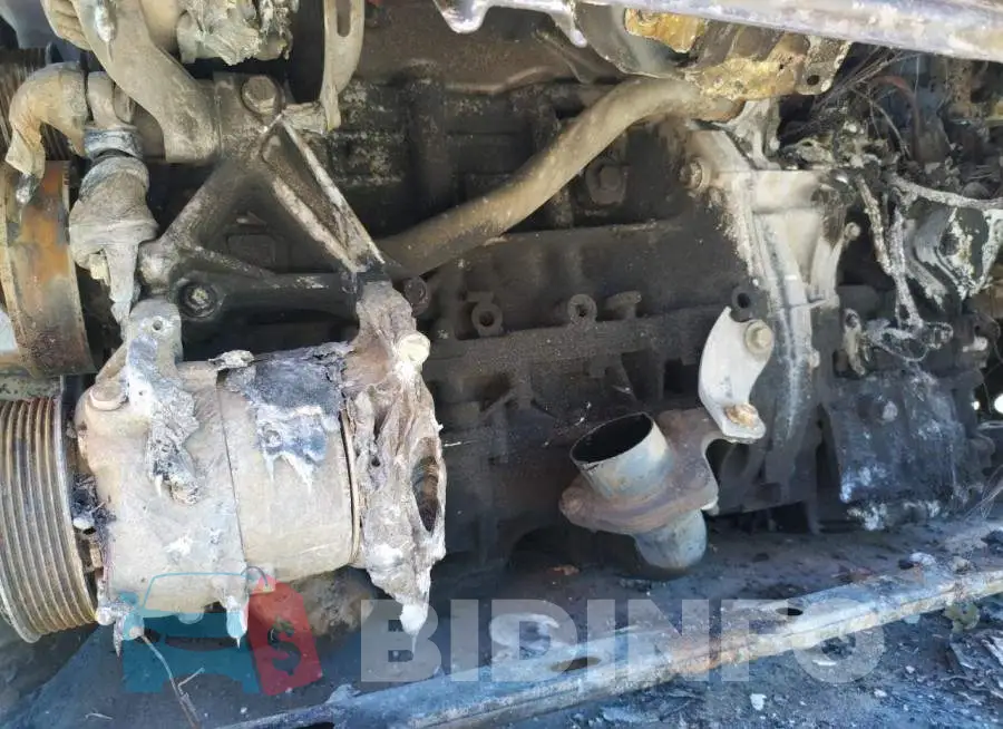 19XFC2F52GE218541 Photo# 9