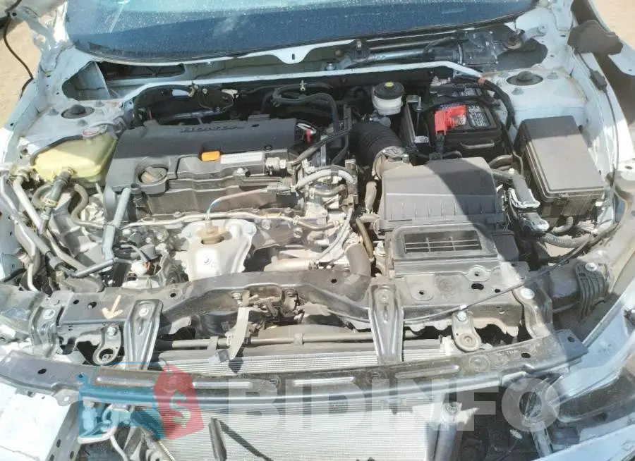 2HGFC2F84MH557748 Photo# 7