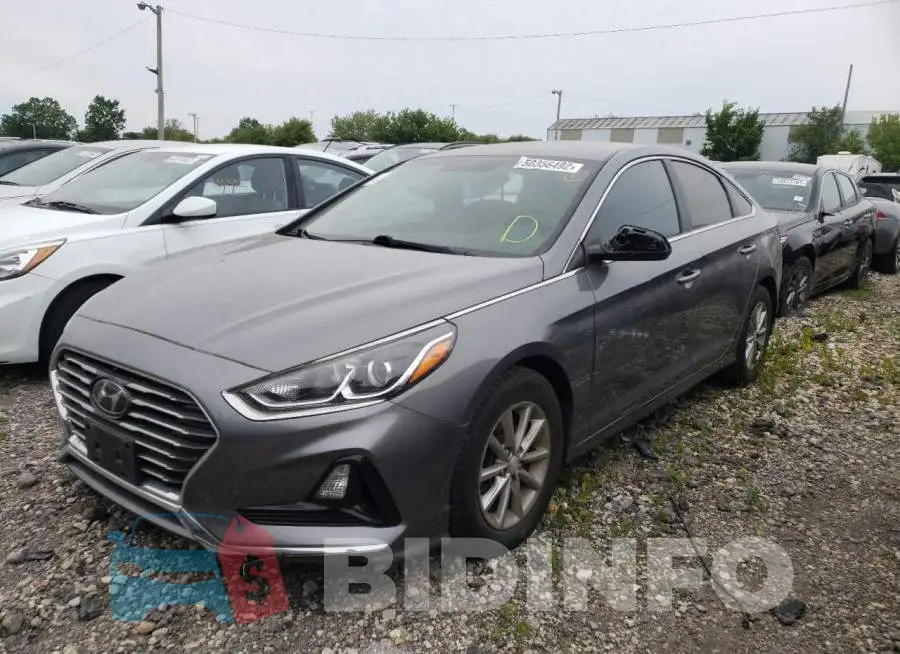5NPE24AF6KH759834 Photo# 2