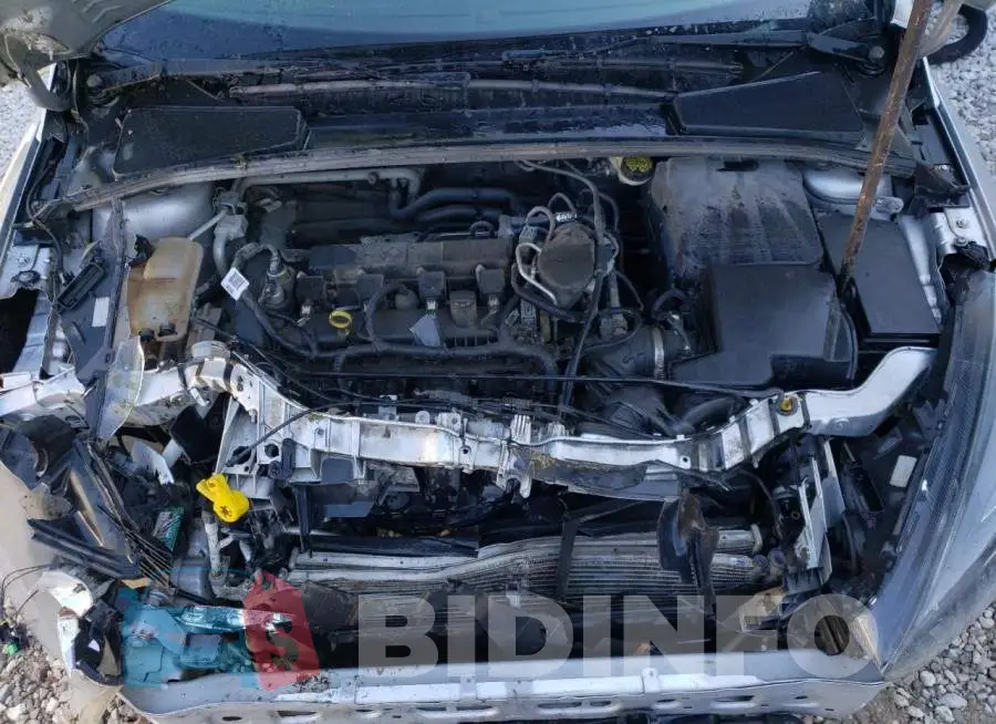 1FADP3F22GL310219 Photo# 7