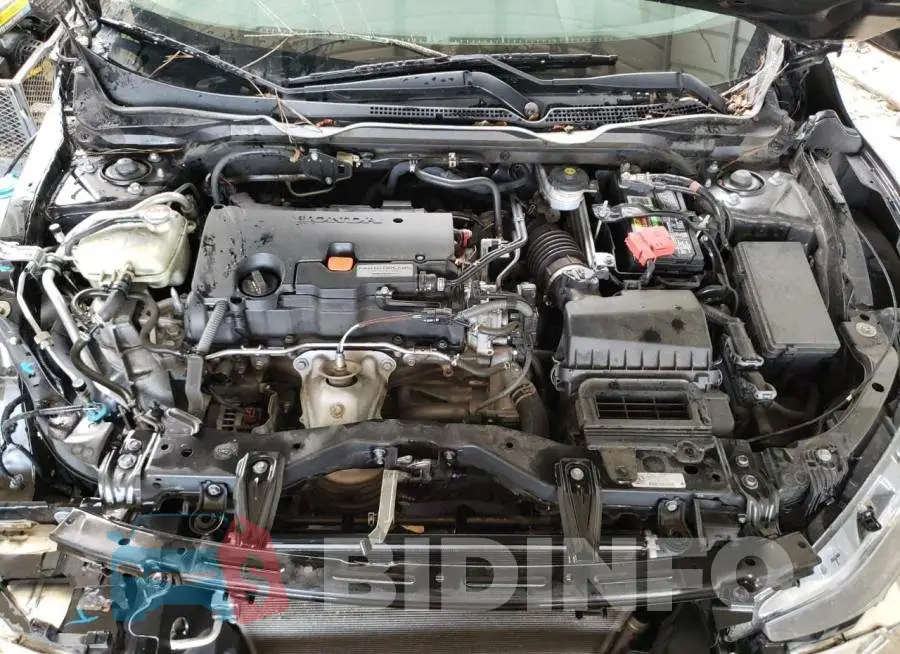 19XFC2F51HE018302 Photo# 7