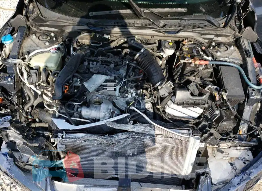 2HGFC1F38HH650227 Photo# 7
