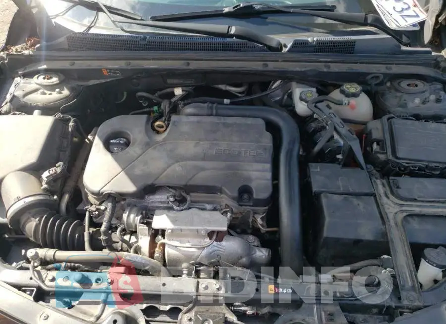 1G1ZD5ST5KF110664 Photo# 7