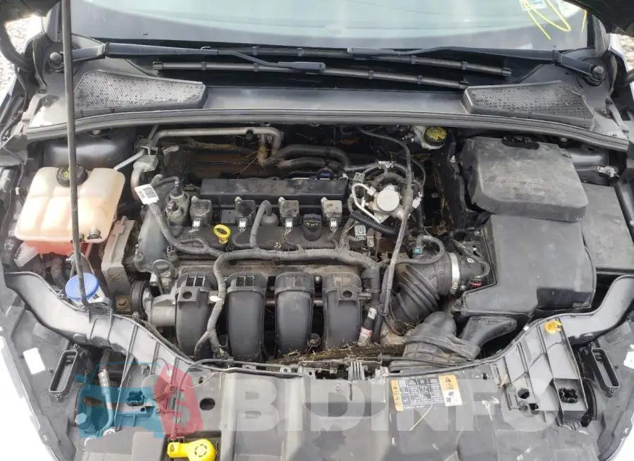 1FADP3E2XGL344085 Photo# 7