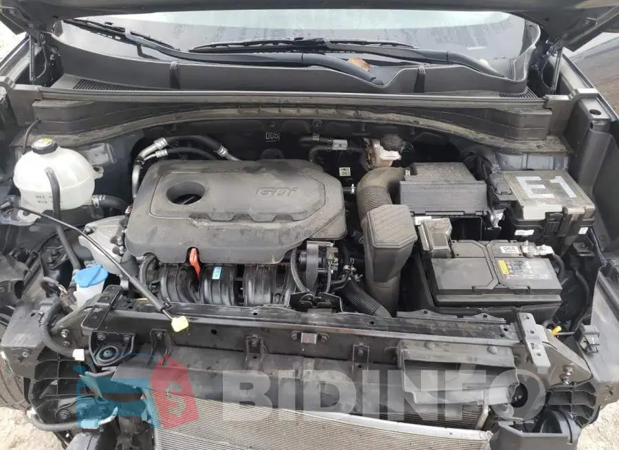 KNDPN3AC1L7676396 Photo# 7